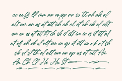 Hugetta Amphals Elegant Brush Font Product Image 9