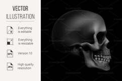 Human Skull Product Image 1