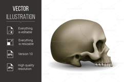 Human Skull Product Image 1