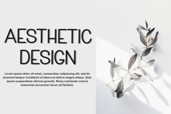 Humanist Product Image 2