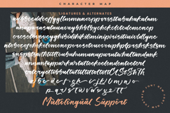 Humble Analog - Modern Bold Calligraphy Script Product Image 19