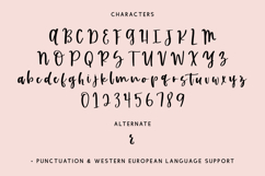 Humblebrag Script Font Product Image 10