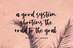 Humblebrag Script Font Product Image 4