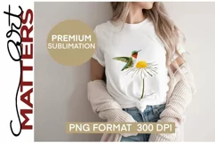 Hummingbird on a Daisy - 300 DPI - Hand Painted Product Image 1