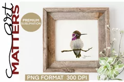 Hummingbird on a branch Purple - 300 DPI - Hand Painted Product Image 1