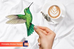 Hummingbird Sticker, Bird Sticker Vinyl, Colorful Bird Art Product Image 1
