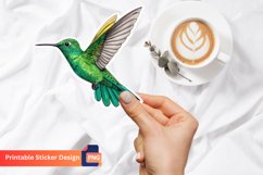 Hummingbird Sticker, Bird Sticker Vinyl, Colorful Bird Art Product Image 1