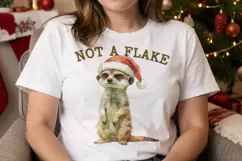 Desert Holiday Toon Sublimation Product Image 3