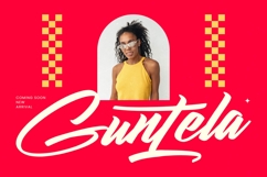 Hunter Anthila - Bold Brush Font Product Image 10