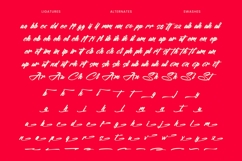 Hunter Anthila - Bold Brush Font Product Image 18