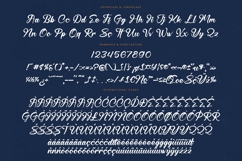 Hunter Shark - Bold Calligraphy Font Product Image 18
