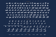 Hunter Shark - Bold Calligraphy Font Product Image 19