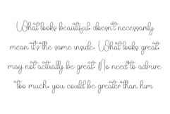 Hunting Bird Product Image 4