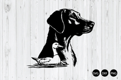 Hunting Dog Duck SVG, Hunting Dog SVG, Duck Hunt SVG Product Image 1