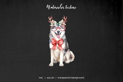 Watercolor Christmas husky clipart. Xmas dogs set Product Image 6