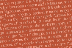 Hustle Batik - Serif Alternate Display Product Image 12