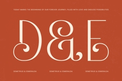 Hustle Batik - Serif Alternate Display Product Image 13