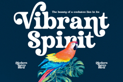 Husty Birds - Modern Retro Serif Product Image 2