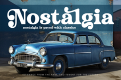 Husty Birds - Modern Retro Serif Product Image 7