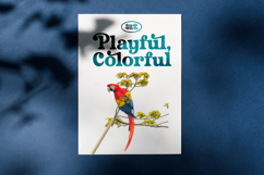 Husty Birds - Modern Retro Serif Product Image 11