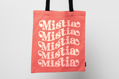 Husty Birds - Modern Retro Serif Product Image 12