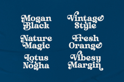 Husty Birds - Modern Retro Serif Product Image 13