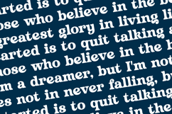 Husty Birds - Modern Retro Serif Product Image 15