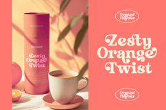 Husty Birds - Modern Retro Serif Product Image 17