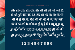 Husty Birds - Modern Retro Serif Product Image 18