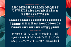 Husty Birds - Modern Retro Serif Product Image 19