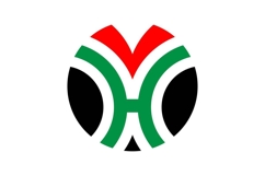 HV VH logo design Product Image 1