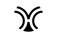 HV VH logo design Product Image 1