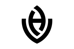 HV VH logo design Product Image 1