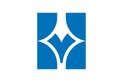 HV VH logo design Product Image 1