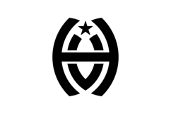 HV VH logo design Product Image 1