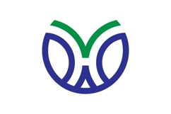 HV VH logo design Product Image 1