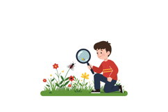 Young boy observing a bee with a magnifying glass in flat ve Product Image 1