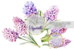 Hyacinth Clipart Spring Flowers Clip Art Floral Sublimation PNG Botanical Watercolor Bouquet Illustration Wedding Drawing Design