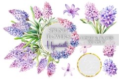 Hyacinth Clipart Spring Flowers Clip Art Floral Sublimation PNG Botanical Watercolor Bouquet Illustration Wedding Drawing Design