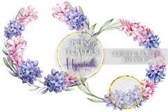 Hyacinth Clipart Spring Flowers Clip Art Floral Sublimation PNG Botanical Watercolor Bouquet Illustration Wedding Drawing Design