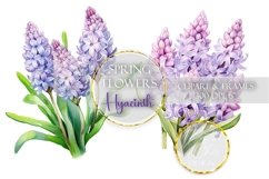 Hyacinth Clipart Spring Flowers Clip Art Floral Sublimation PNG Botanical Watercolor Bouquet Illustration Wedding Drawing Design