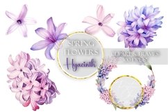 Hyacinth Clipart Spring Flowers Clip Art Floral Sublimation PNG Botanical Watercolor Bouquet Illustration Wedding Drawing Design