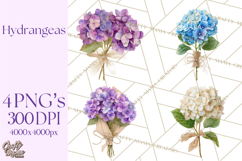 Watercolor Hydrangea Clipart, Florist Paper, Wedding Floral Product Image 1