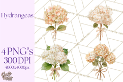 Watercolor Hydrangea Clipart, Florist Paper, Wedding Floral Product Image 1