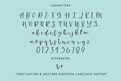 Hypnotic Script Font Product Image 10