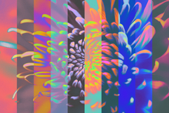 Hypnotic Oil Paint Effect Product Image 5
