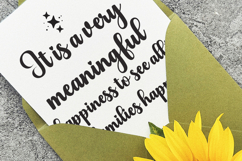 Blacker Display - Family Font In 100 Styles Product Image 8