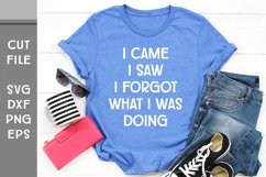 I Came I Saw I Forgot What I was Doing, Hand Lettered SVG Product Image 1