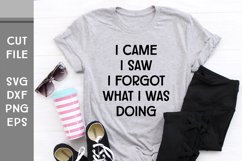 I Came I Saw I Forgot What I was Doing, Hand Lettered SVG Product Image 2