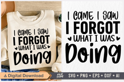 I Came I Saw I Forgot What I Was Doing SVG, Retirement SVG Product Image 1